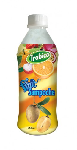 350 ml Pet Sampoche Juice 